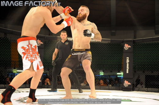 2015-06-13 Milano in the Cage 2015 - Mixed Martial Arts 0674 Stefano Canelli-Andrea Fusi - MMA